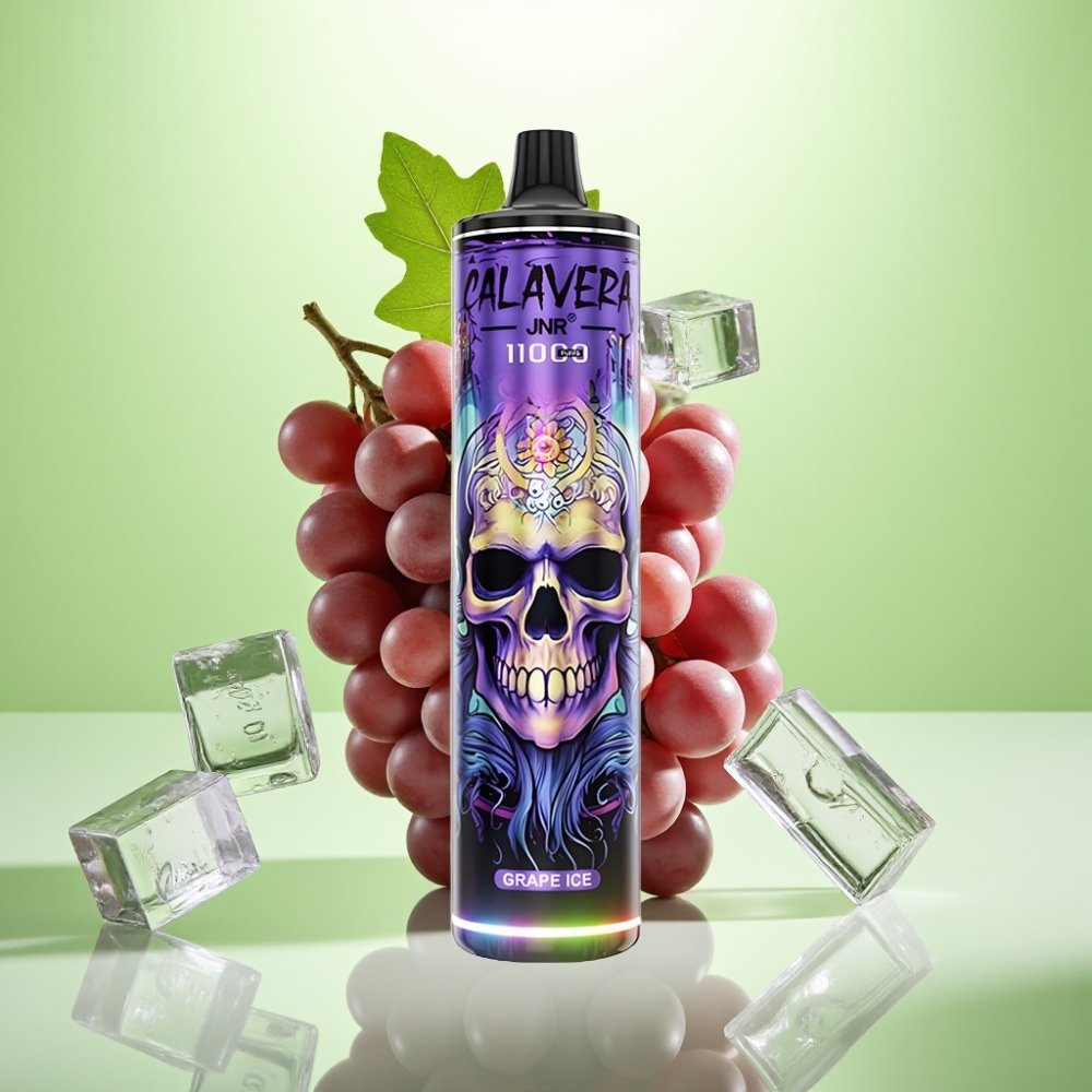 JNR Calavera 11000 Puffs Dispozabil Vape Grozdana Led sa Type-C punjenjem, 850 mAh, 21ml
