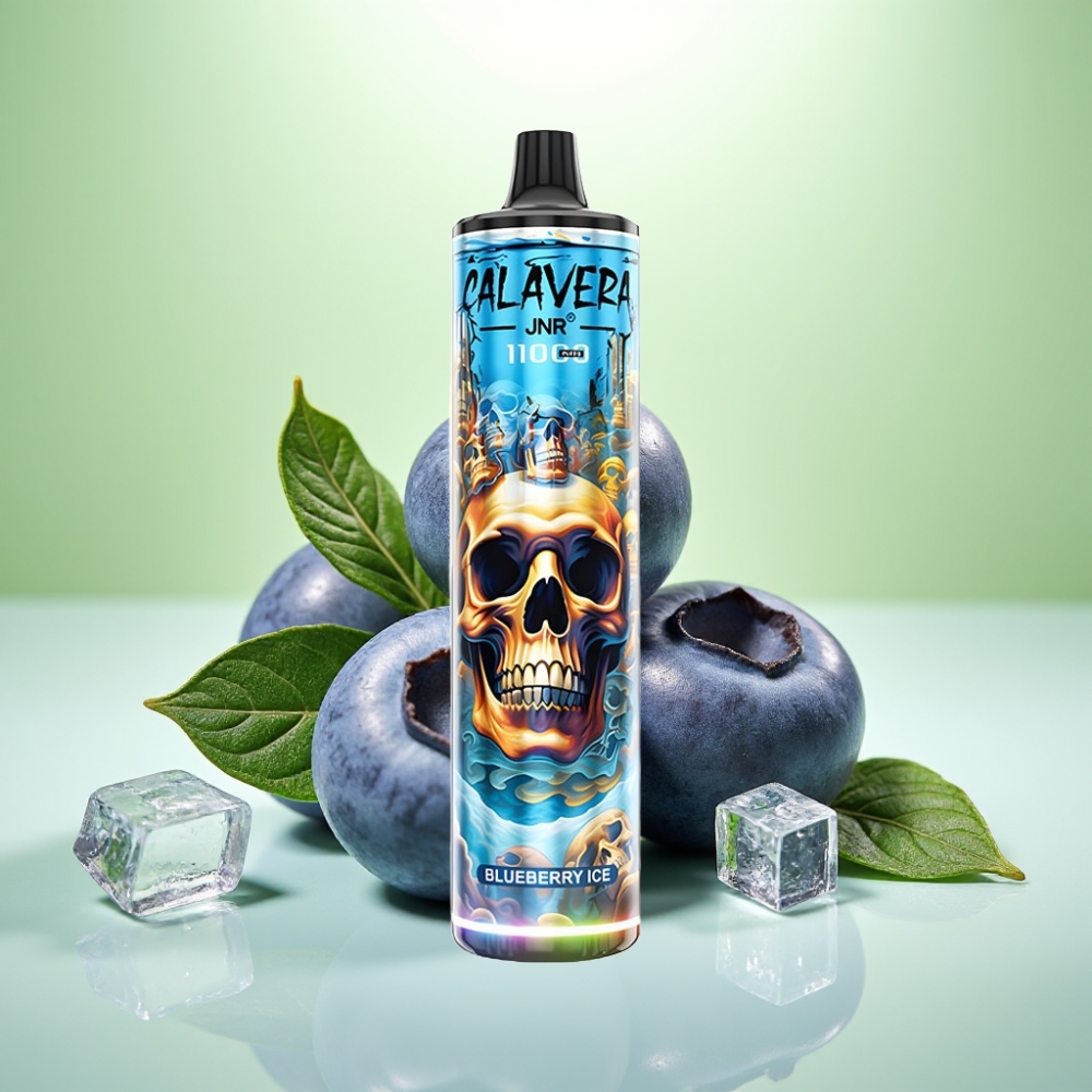 JNR Calavera 11000 Pufova Jednokratna Vape – Tip-C punjenje, 850 mAh, 21ml, Borovnica Led