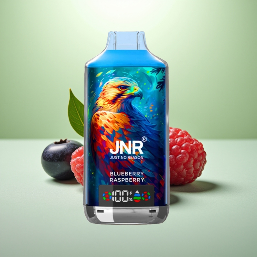 JNR Falcon X 18000 Puffs Dispozabil Vape Borovnica Malina – 24ml, Dual Mesh Coil, Type-C punjenje