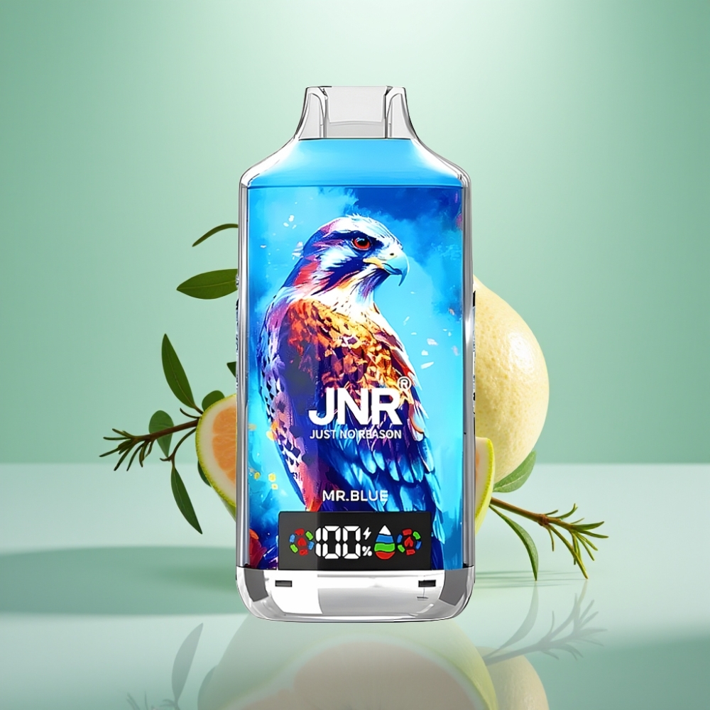 JNR Falcon X 18000 Puffs Dispozabil Vape Plavi Gospodin – 24ml, Dual Mesh Coil, Type-C punjenje