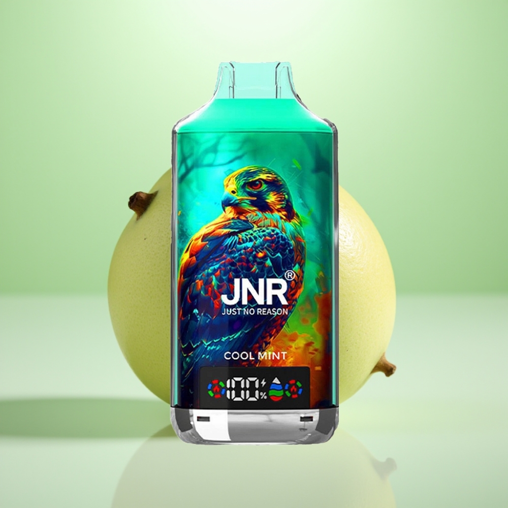 JNR Falcon X 18000 Puffs Dispozabilna Vape Cool Mint, 750mAh, 24ml, Dual Mesh Coil, Type-C