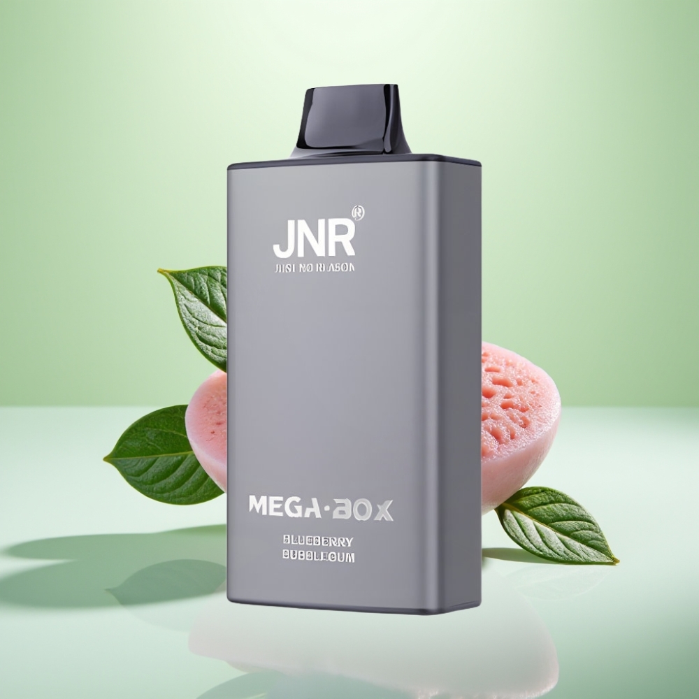 JNR Mega Box 25000 Pufova Dispozabil Vape – Borovnica Bubica, 25000 pufova, 30ml tečnost, 850mAh baterija