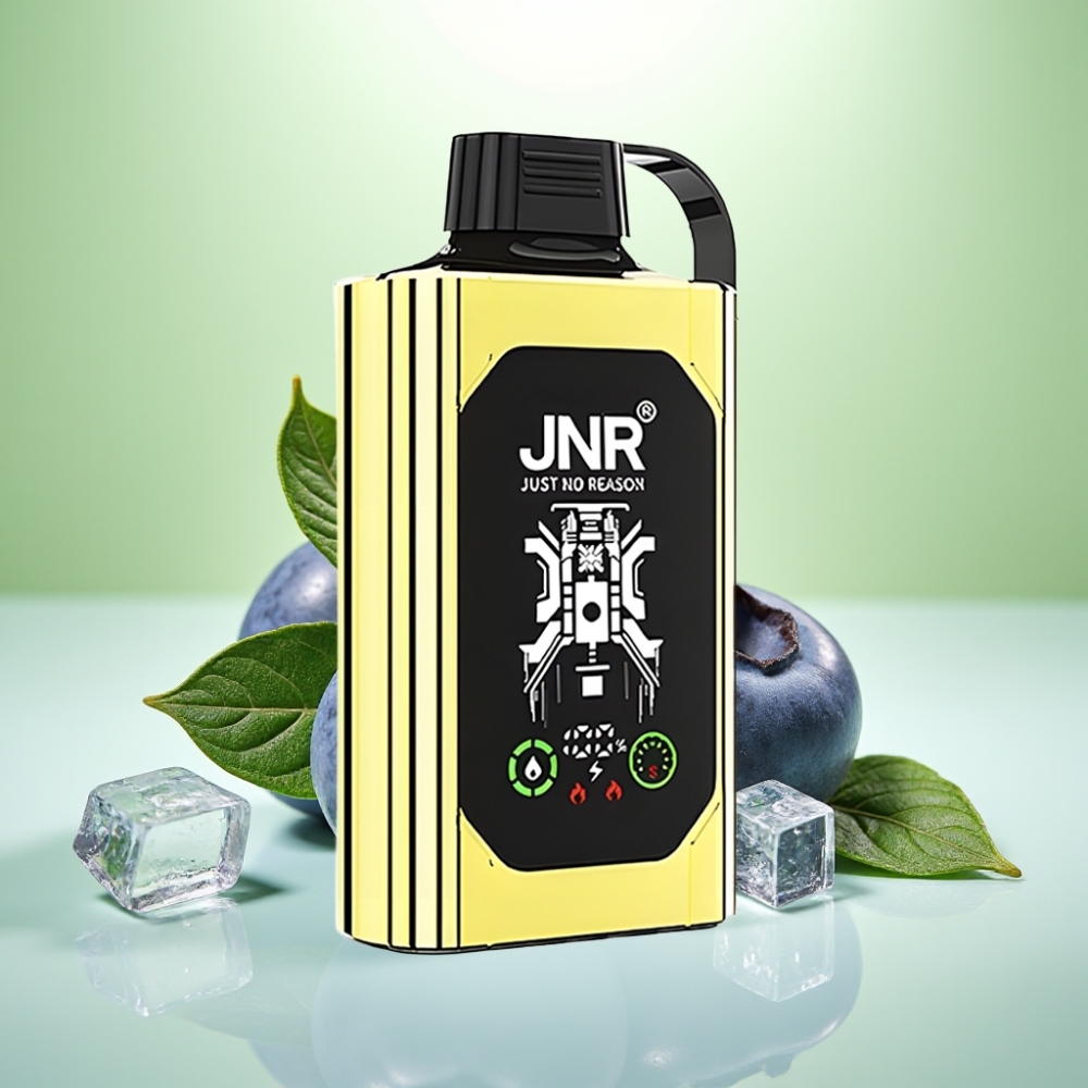 JNR Shisha Hookah Box 20500 Puffs Dispozabil Vape Borovnica Led 25ml, 1000mAh, Type-C, Dual Mesh Coil