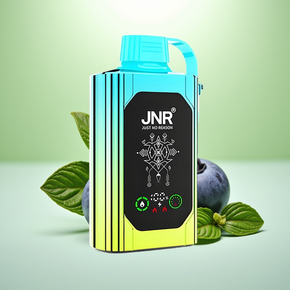 JNR Shisha Hookah Box 20500 Puffs Dispozabil Vape Borovnica Met - HD Display, 1000mAh, Type-C